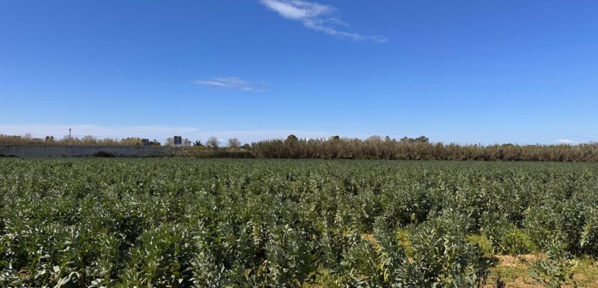 TERRENO AGRICOLO 17200 Varcaturo