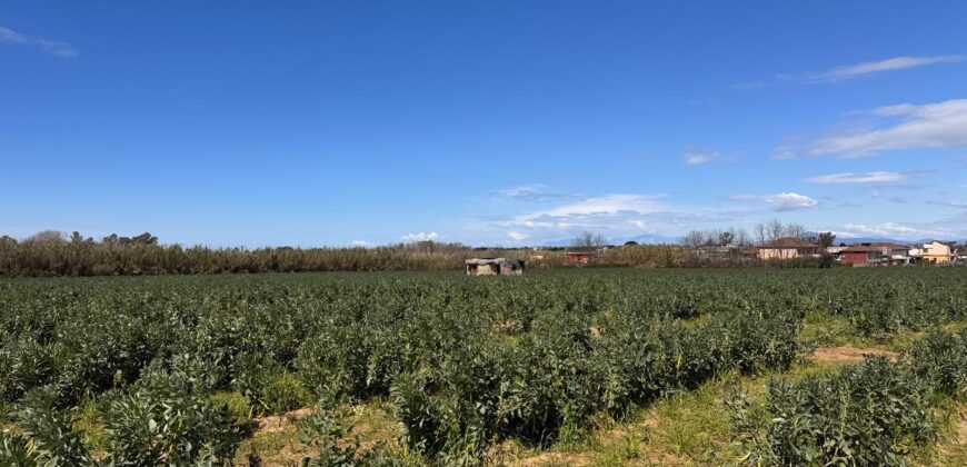 TERRENO AGRICOLO 17200 Varcaturo