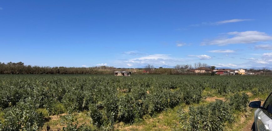 TERRENO AGRICOLO 17200 Varcaturo