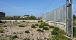 TERRENO AGRICOLO 2000 MQ Varcaturo