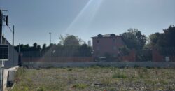 TERRENO AGRICOLO 2000 MQ Varcaturo