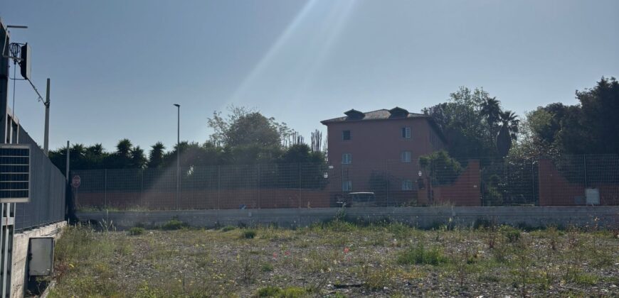 TERRENO AGRICOLO 2000 MQ Varcaturo