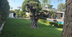 VILLA IN AFFITTO Varcaturo