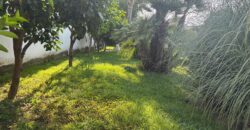 VILLA IN AFFITTO Varcaturo