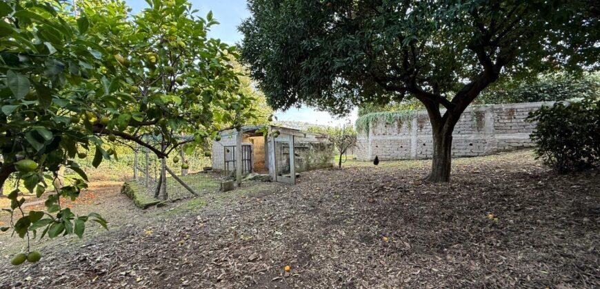 VILLA ESCLUSIVA Monte Di Procida