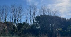 TERRENO AGRICOLO Varcaturo
