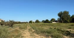 TERRENO AGRICOLO Varcaturo-Via Rannola