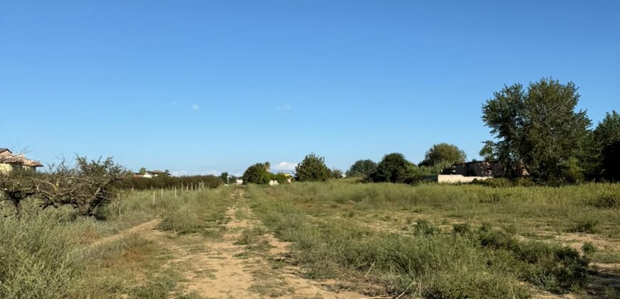 TERRENO AGRICOLO Varcaturo-Via Rannola