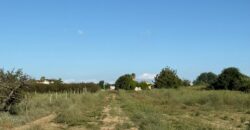 TERRENO AGRICOLO Varcaturo-Via Rannola
