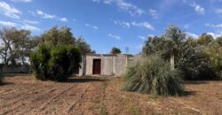 TERRENO AGRICOLO Varcaturo