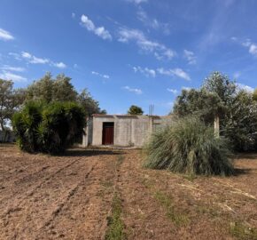 TERRENO AGRICOLO Varcaturo