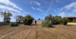 TERRENO AGRICOLO Varcaturo