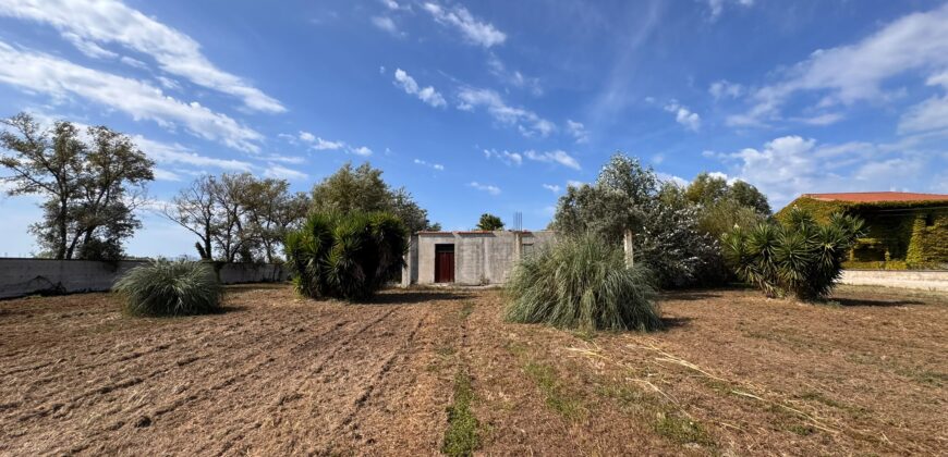TERRENO AGRICOLO Varcaturo